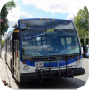 Niagara Falls Transit fleet images